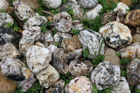 Kamenclub.ru: Кварцевый валунчик фр.100-300 мм.  купить в Новосибирске кварц белый, бежевый молочный рыжий крупный природный камень галечник 7850 руб/т   фото КАМЕНЬ КЛУБ