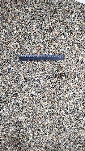 Kamenclub.ru: Галька речная окат (серая) фр.5-10 мм купить  в Новосибирске галька речная серая, серый, темно-серый, светло-серый, коричневый речная окатанная галька декоративная ландшатфная 5000 руб/т   фото КАМЕНЬ КЛУБ