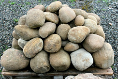 Kamenclub.ru: Песчаник ядра, фр. 100-300 мм  купить в Новосибирске песчаник бежевый серый рыжий речная галька 5 000 руб/т   фото КАМЕНЬ КЛУБ