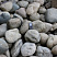Kamenclub.ru: Речной валун (Ассорти) фр.100-300 мм.  купить в Новосибирске галечник серый, темно-серый, светло-серый речная галька крупных размеров 4200 руб/т   фото КАМЕНЬ КЛУБ