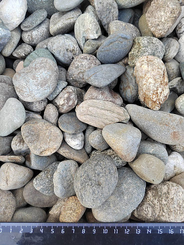 Kamenclub.ru: Галька речная окат (серая) фр.40-60 мм купить  в Новосибирске галька речная серый бежевый рыжий коричневый округлый речной камень 5000 руб/т   фото КАМЕНЬ КЛУБ