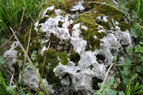 Kamenclub.ru: Выветренный известняк со мхом фр. 100-500 мм.  купить в Новосибирске известняк серый белый зеленый валун известняковый крупный 10000 руб/т   фото КАМЕНЬ КЛУБ