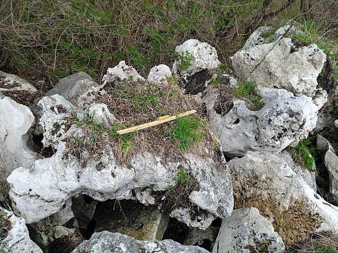 Kamenclub.ru: Выветренный известняк (степной) фр. 500-1500 мм.  купить в Новосибирске    10000 руб/т   фото КАМЕНЬ КЛУБ