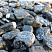 Kamenclub.ru: Щебень галтованный черный (мрамор) фр.20-40 мм.  купить в Новосибирске мрамор черный с белыми прожилками мрамор окатанный округлый 15000 руб/т   фото КАМЕНЬ КЛУБ