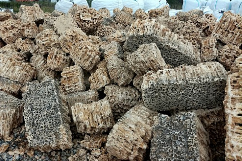 Kamenclub.ru: Крымский природный меотис фр. 100-500 мм.  купить в Новосибирске меотис бежевый рыжий молочный желтый ракушечник 4 500 руб/т   фото КАМЕНЬ КЛУБ