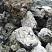 Kamenclub.ru: Черный гранит - кварцит фр. 100-500 мм.  купить в Новосибирске мрамор гранит черный с белыми прожилками, серый, белый валун скальный колотый 7000 руб/т   фото КАМЕНЬ КЛУБ