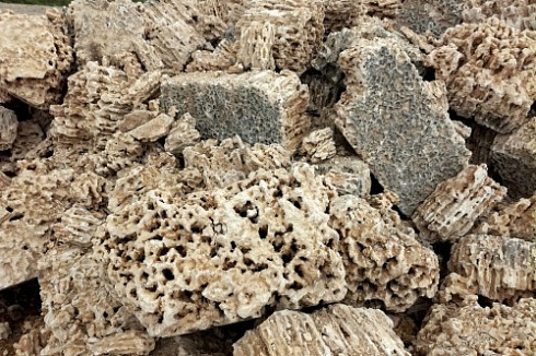 Kamenclub.ru: Крымский природный меотис фр. 100-500 мм.  купить в Новосибирске меотис бежевый рыжий молочный желтый ракушечник 4 500 руб/т   фото КАМЕНЬ КЛУБ