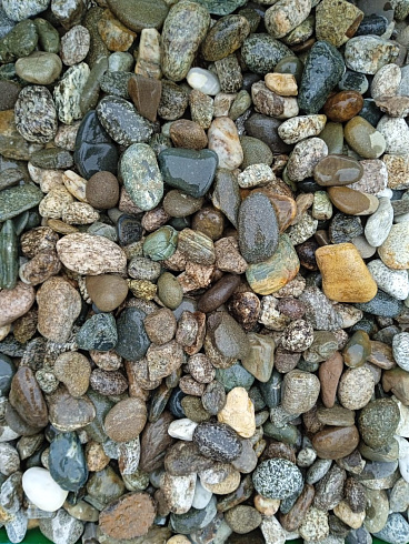 Kamenclub.ru: Галька горная речная окат (цветная) фр. 20-40 мм. купить  в Новосибирске галька речная серый синий бежевый белый окатанная речная галька ландшафтная 6800 руб/т   фото КАМЕНЬ КЛУБ