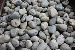 Kamenclub.ru: Речной валун (Ассорти) фр.100-300 мм.  купить в Новосибирске галечник серый, темно-серый, светло-серый речная галька крупных размеров 4200 руб/т   фото КАМЕНЬ КЛУБ