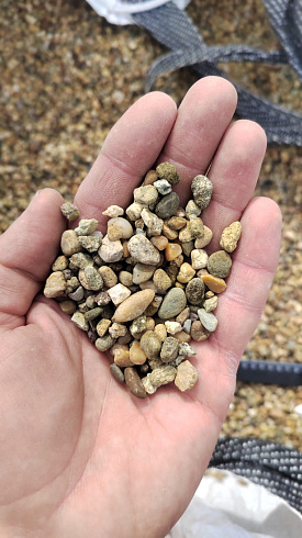 Kamenclub.ru: Галька окат (серо-желтая) фр.5-10 мм. купить  в Новосибирске галька речная рыжий, желтый, рыжий, серо-желтый речная окатанная галька декоративная 5000 руб/т   фото КАМЕНЬ КЛУБ