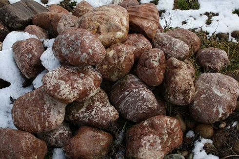 Kamenclub.ru: Розовый валунчик фр.100-300 мм.  купить в Новосибирске крупный природный камень розовый, серый молочный красный речной галечник природный 7850 руб/т   фото КАМЕНЬ КЛУБ